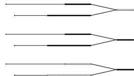 snake epaxial muscle-tendon network