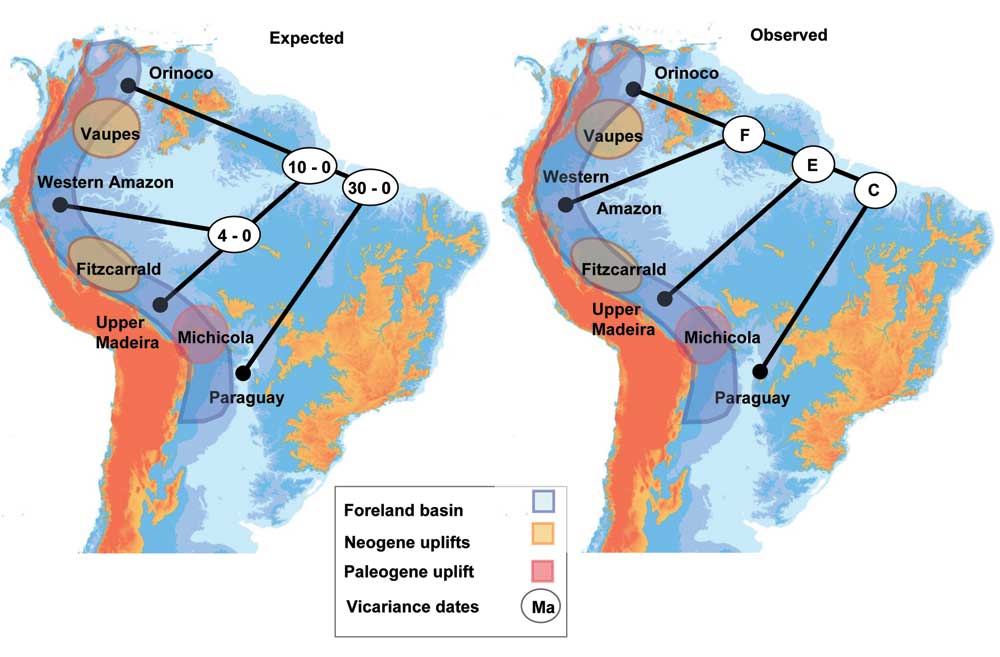 Species richness by biogeographical area and provinces