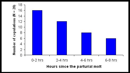 duration of female attractiveness